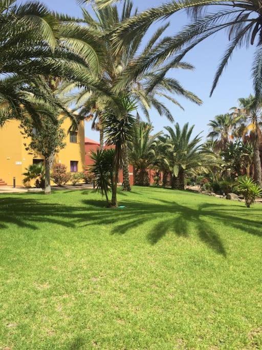 Corralejo Happy Place, Precioso Apartamento Con Piscina Eksteriør bilde