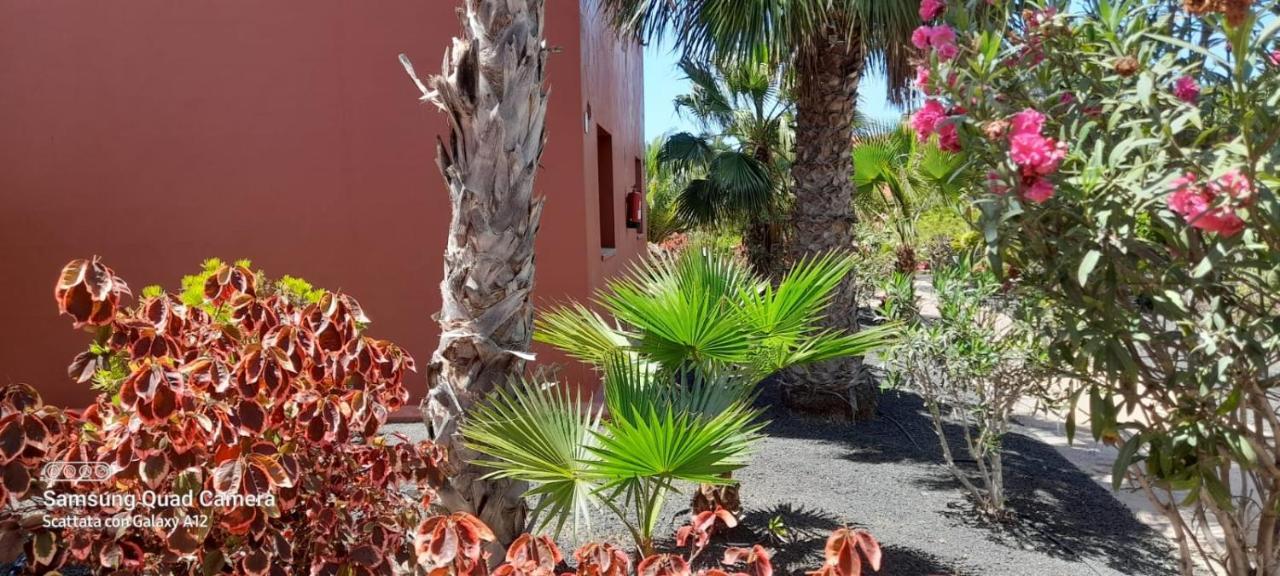 Corralejo Happy Place, Precioso Apartamento Con Piscina Eksteriør bilde